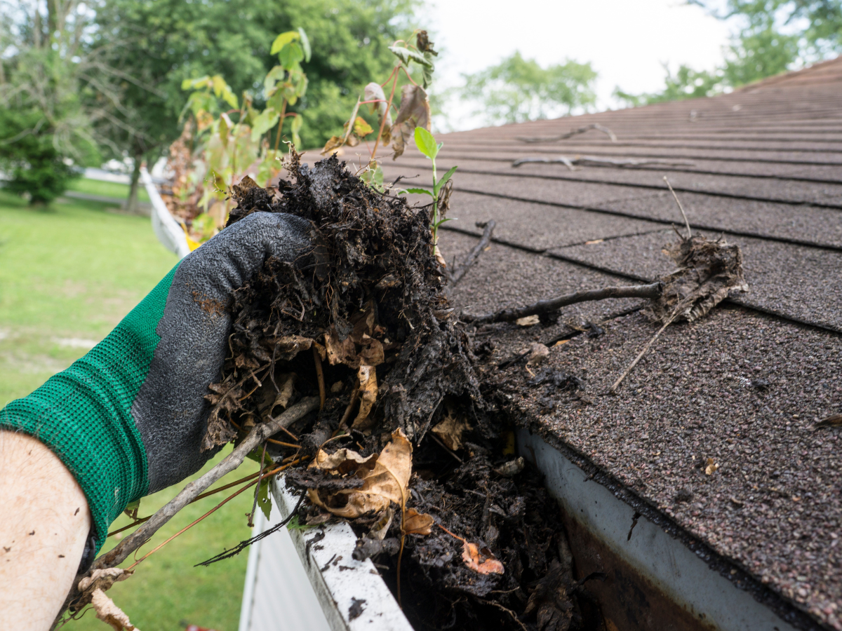 Clogged gutters full of leaves and debris being cleaned by hand in Fort Walton Beach
